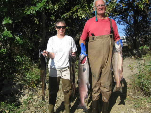 Salmon