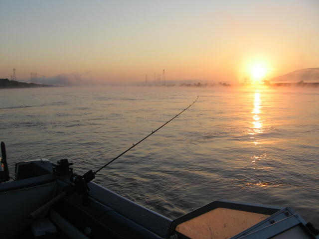Fishing