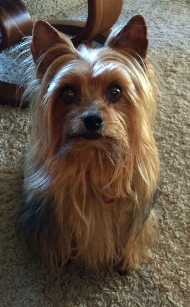 Max