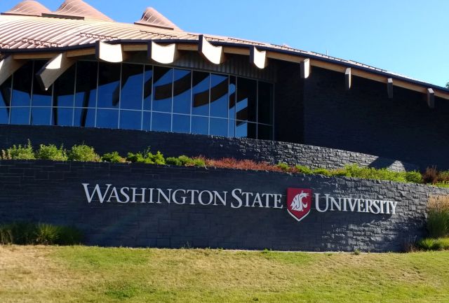 WSU