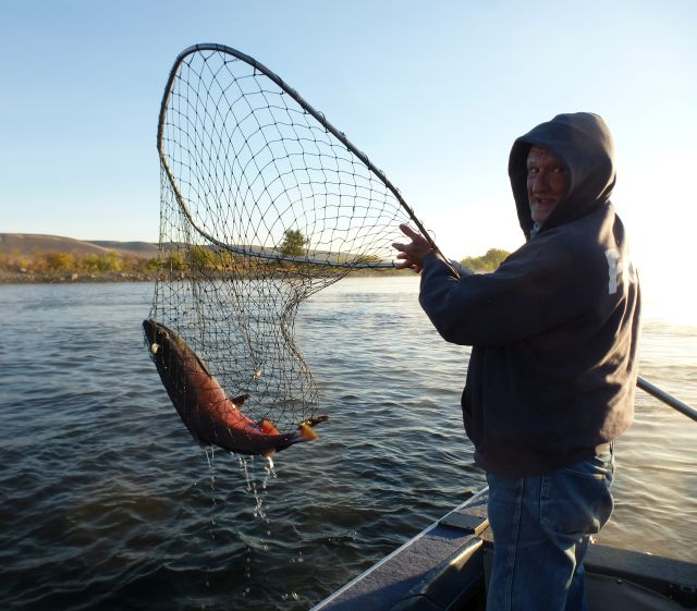 Jim, last fish