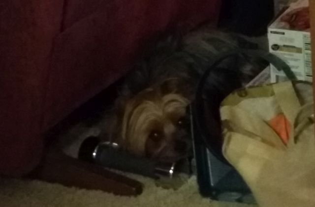 Max