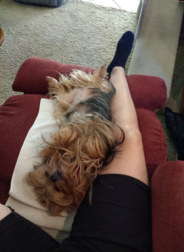 Max