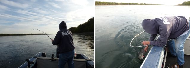 Jim's last fish
