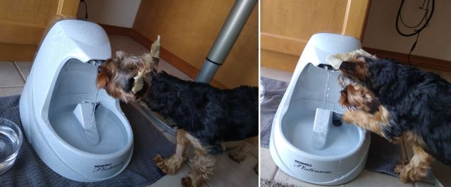 Bo water fountain