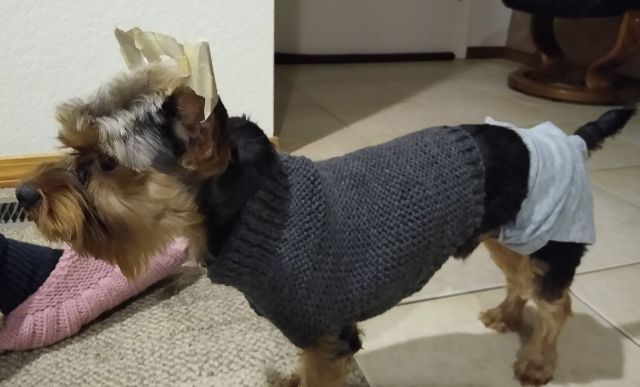 Bo sweater