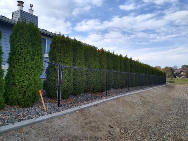 Fence