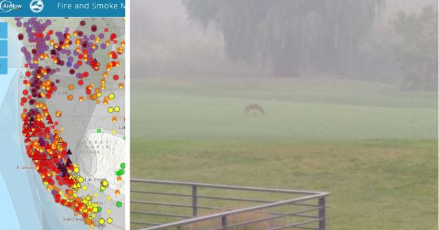 Air quality Air quality