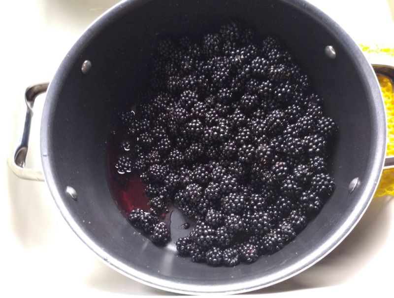Blackberries