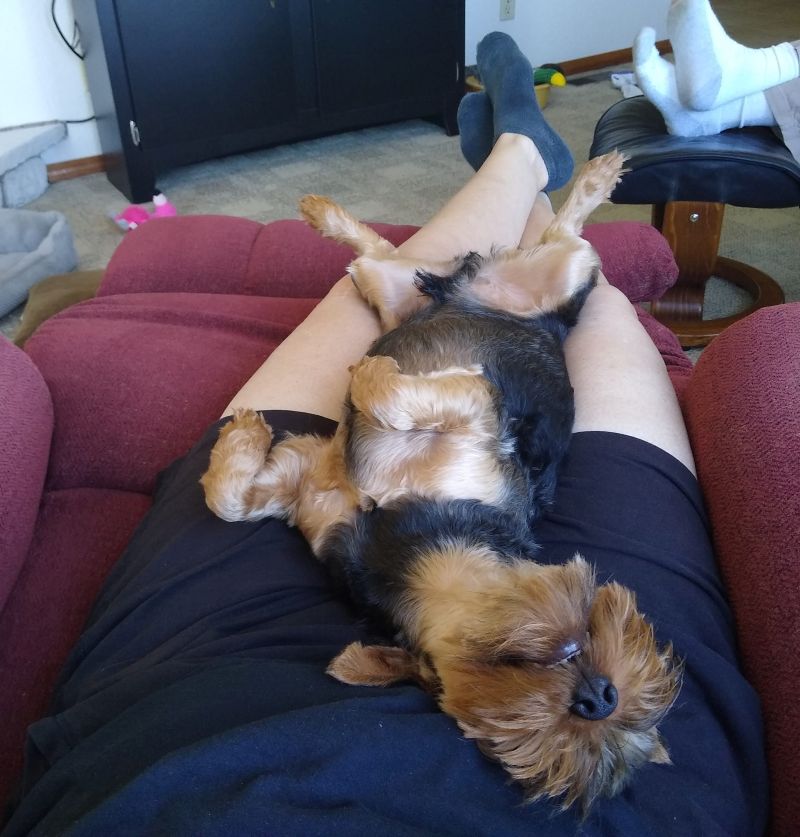 Bo