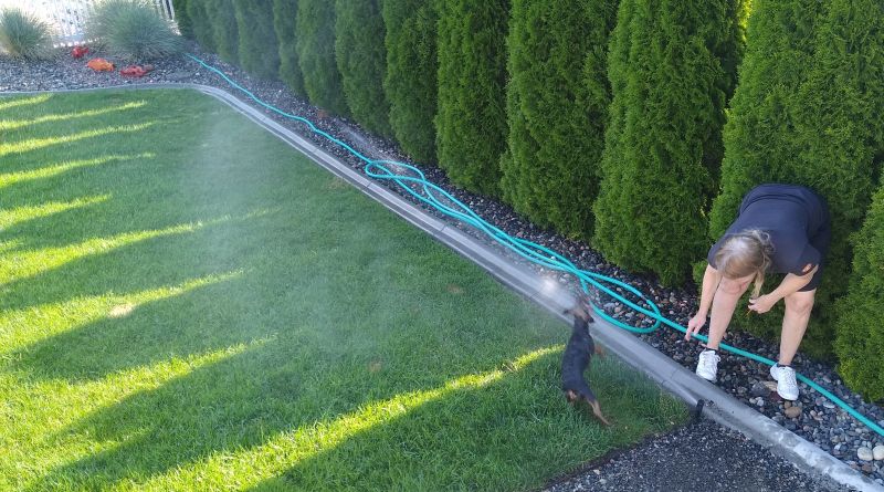 Bo sprinklers