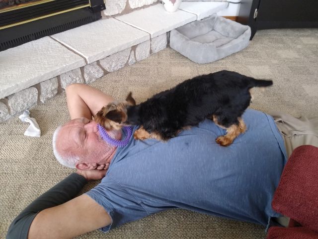Bo