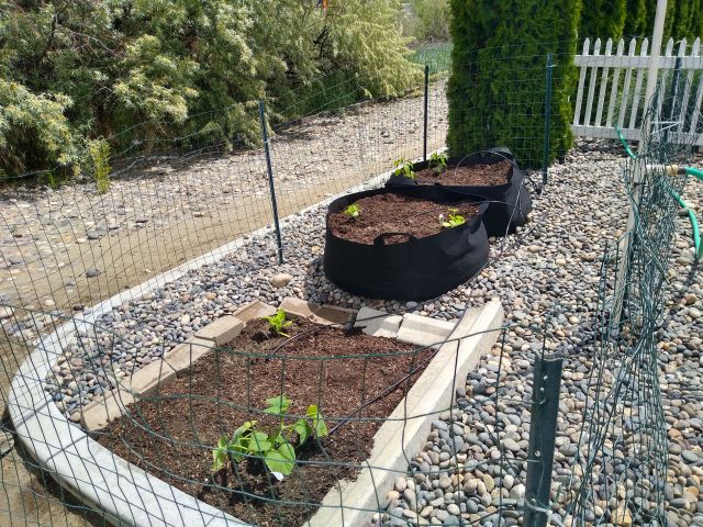 Garden Garden