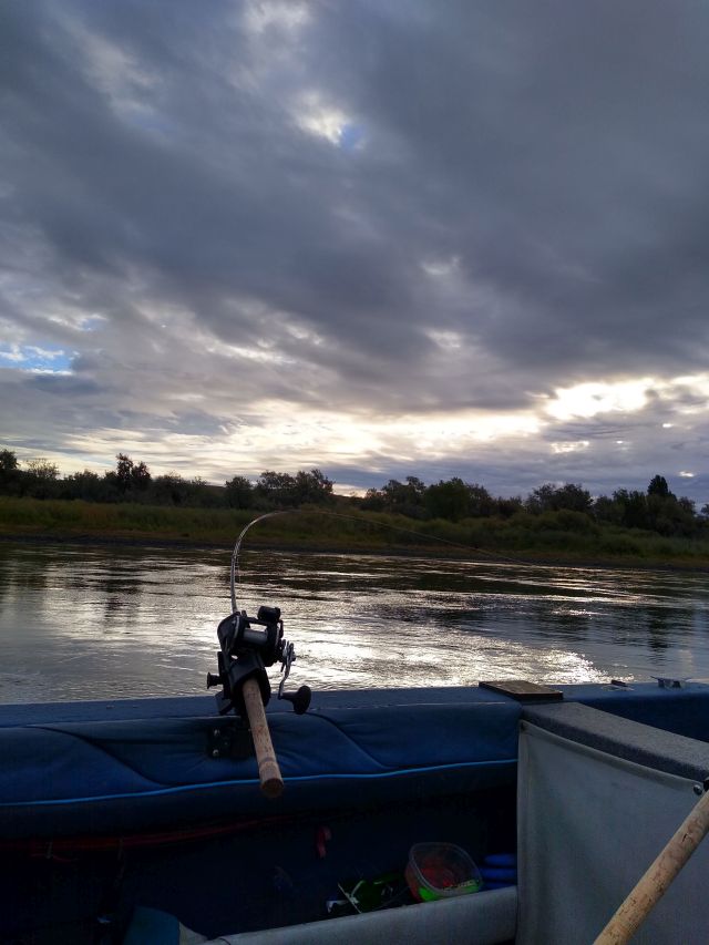 Ringold fishing