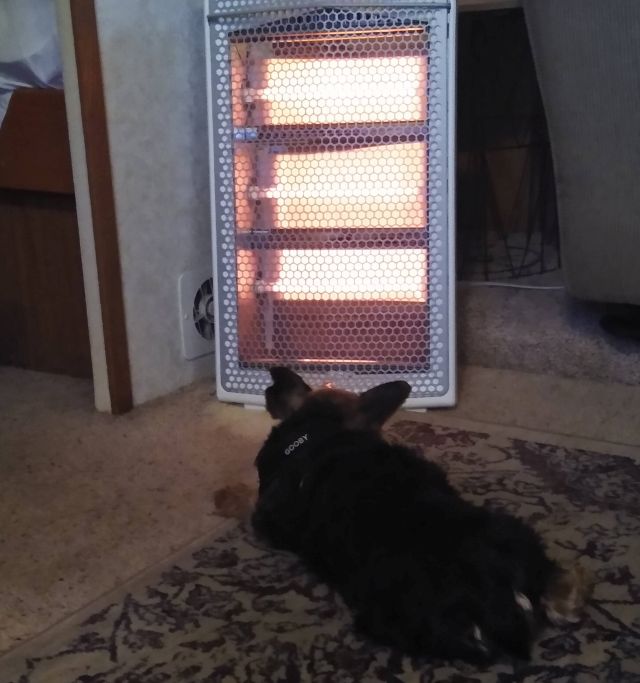 Bo