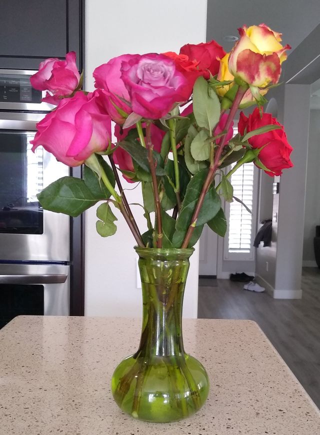 Roses