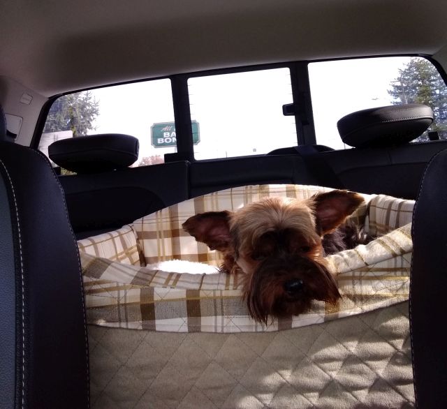 Bo car seat