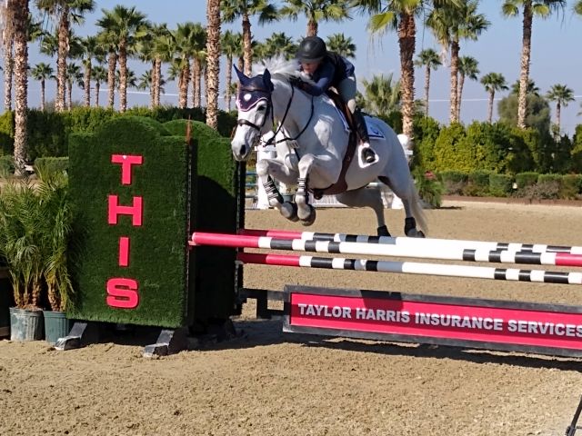 Desert International Horse Park