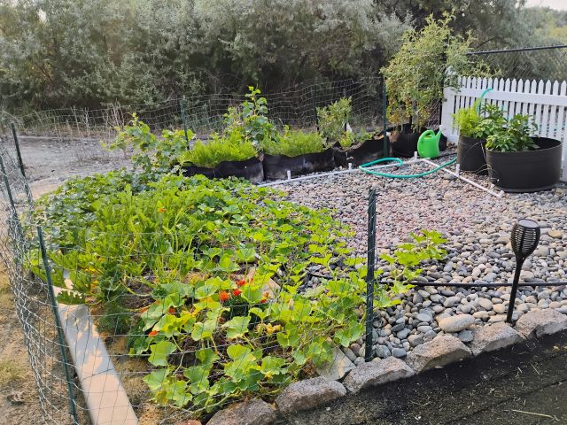 Garden Garden