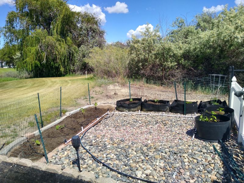 Garden Garden