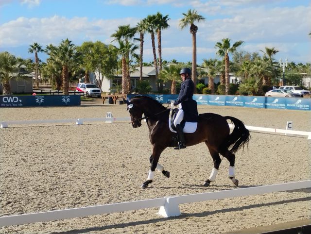 Dressage Dressage