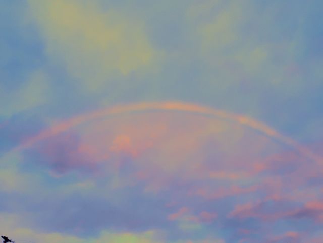 Rainbow Rainbow