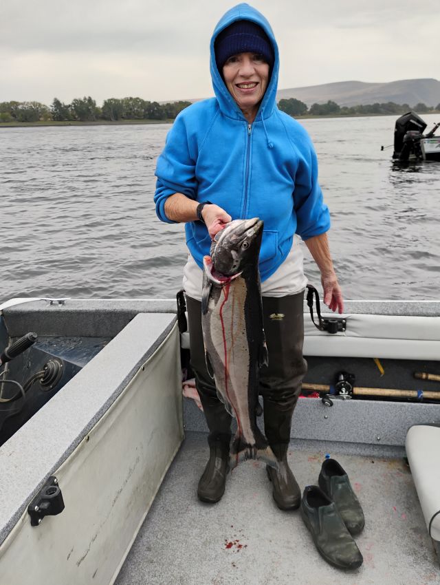 Gayle salmon Gayle salmon