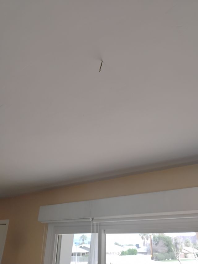 Termites Termites